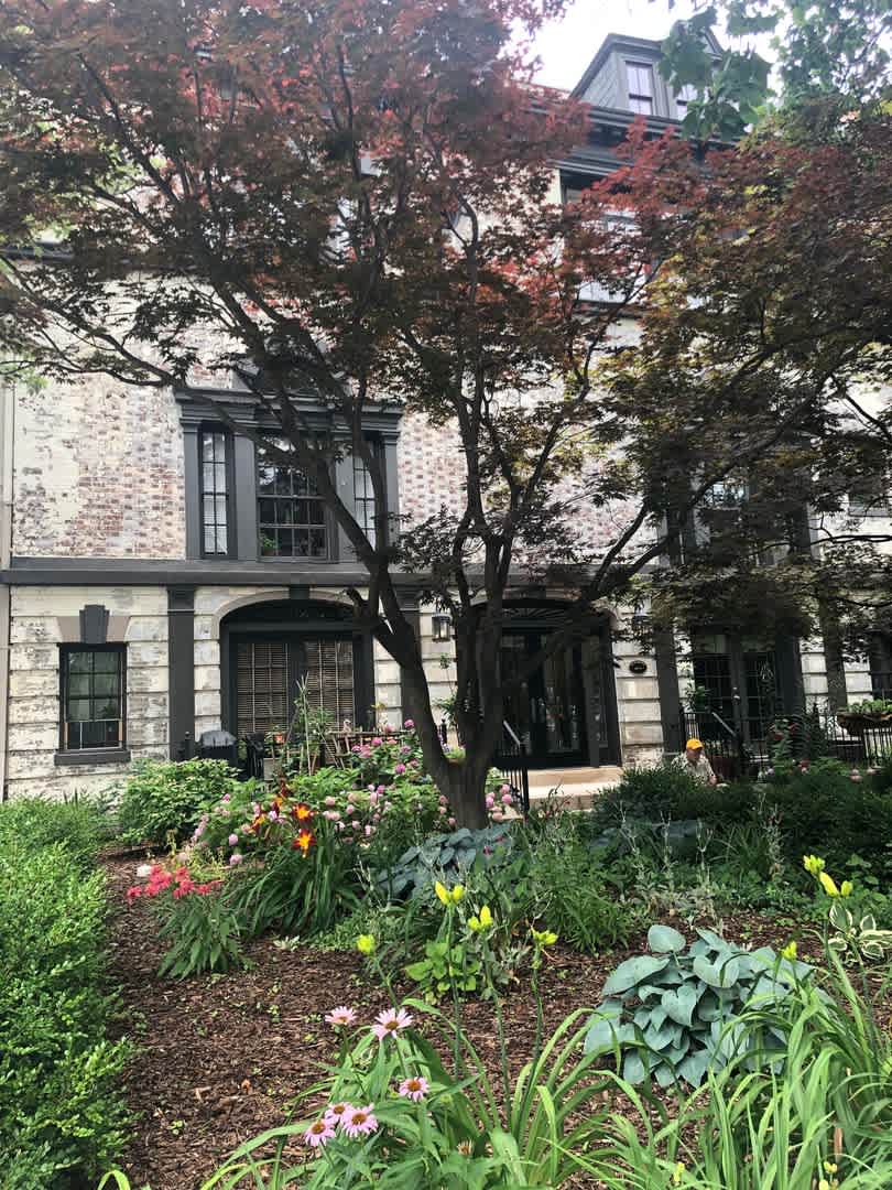 Dupont Circle/Logan Circle One Bedroom With Vaulted Ceilings, Washer/Dryer In Unit,  Floor to Ceiling Windows!