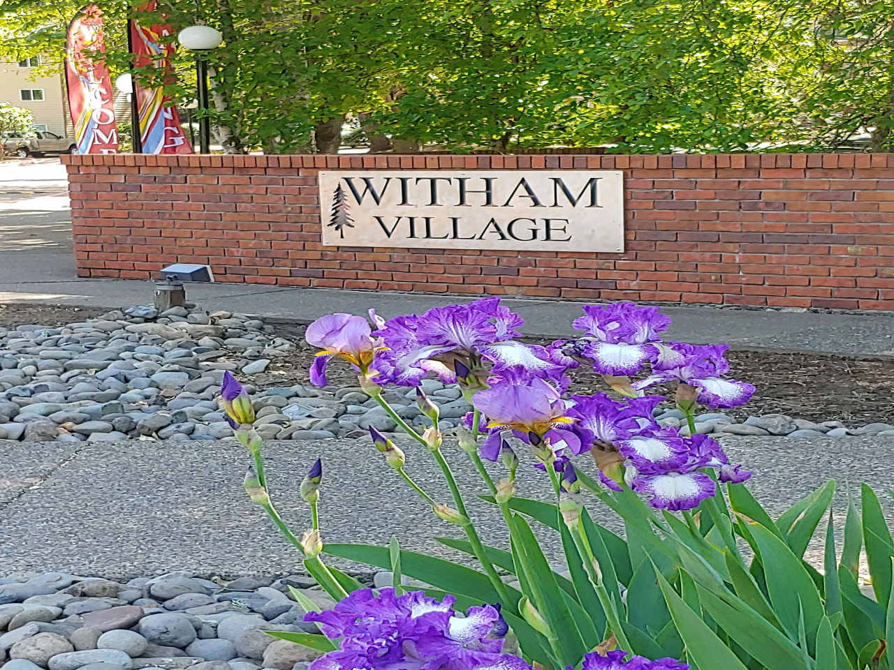 Witham Village