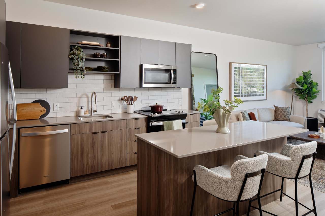 Astral & Revel by Alta