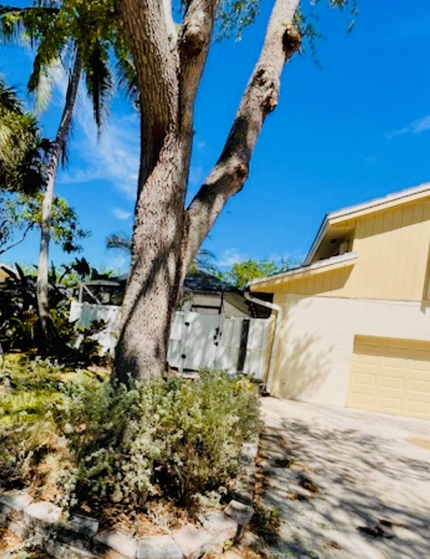 12533 Woodmill Drive