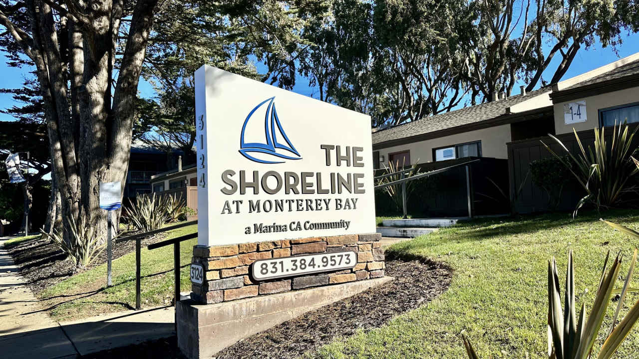Shoreline Apartments