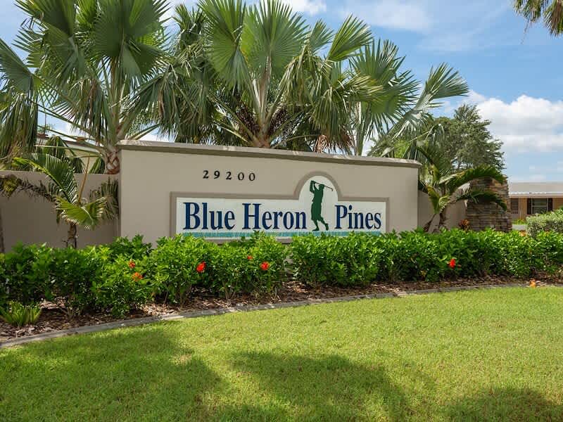 29201 South Jones Loop Road Lot 802