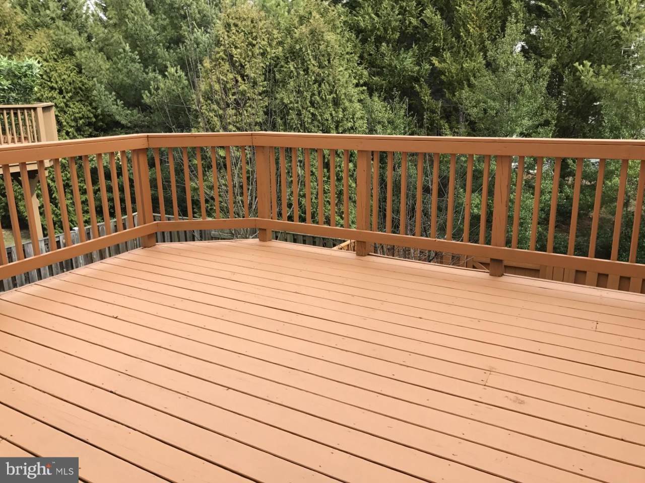 13134 ROSE PETAL Circle