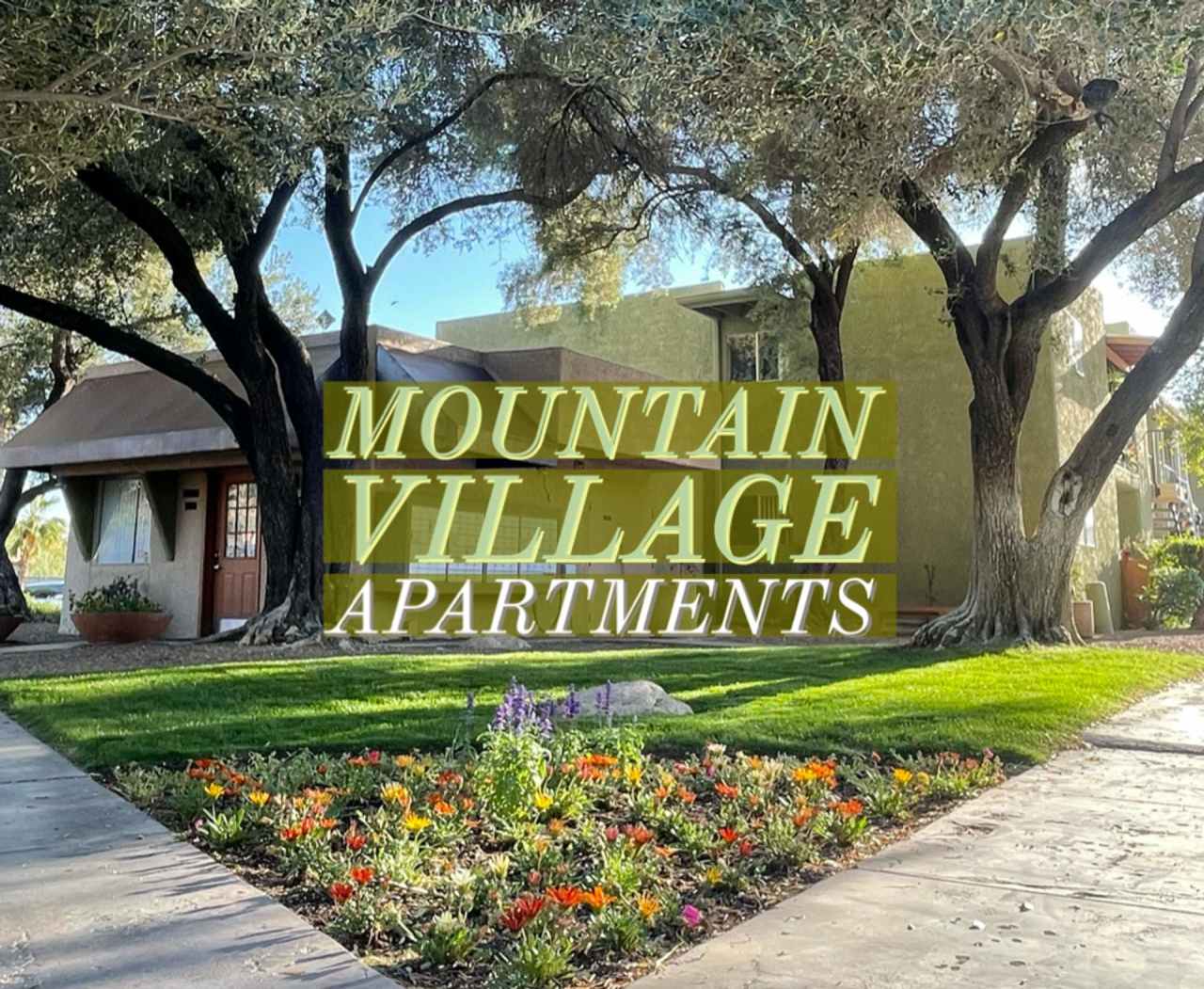 Mountain Village Apartments