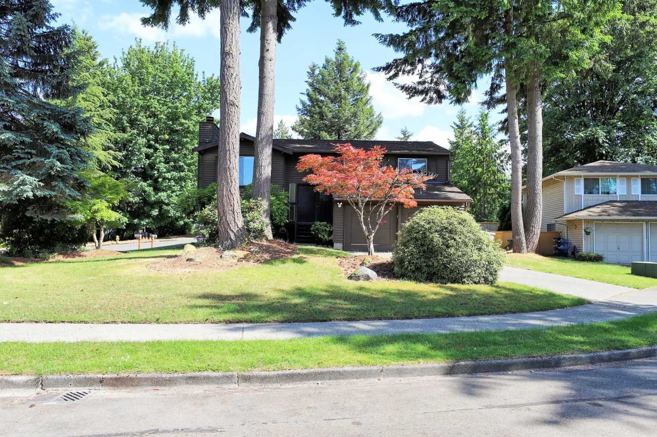 Charming Fairwood / Renton Home