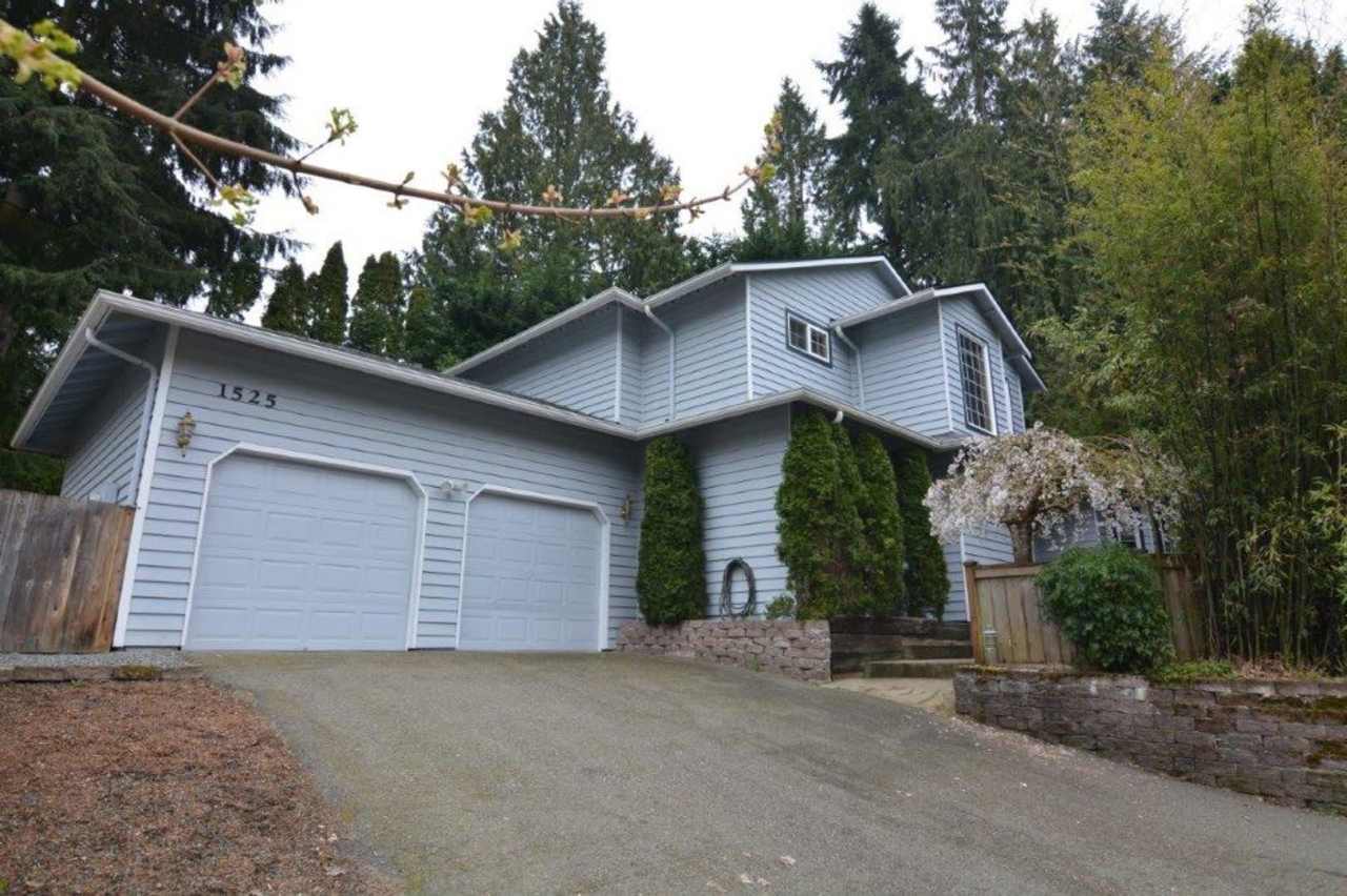 Shoreline Home Nestled in Trees