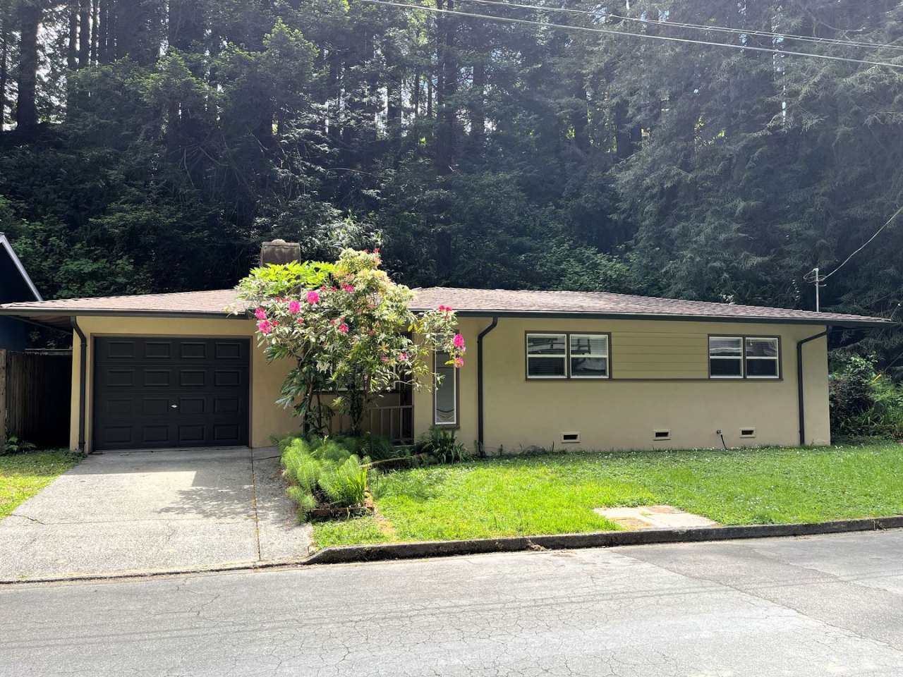 Enjoy Modern Living in this Upgraded home in a wooded area!