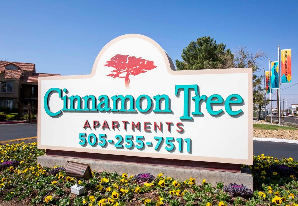 Cinnamon Tree