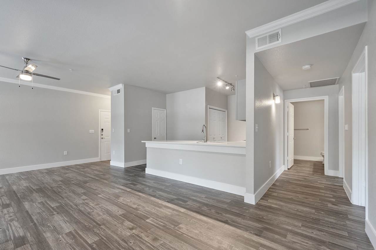 Reagan at Bear Creek