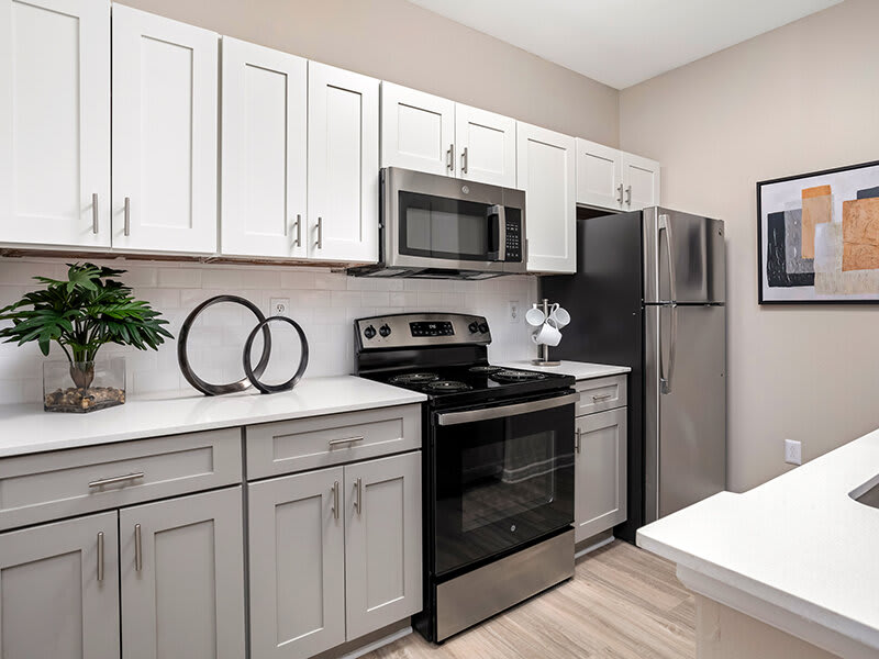 The Niche Apartments