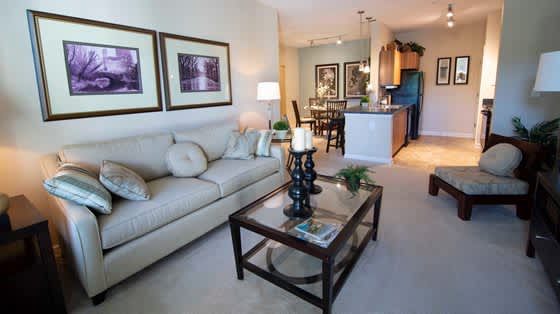 Overlook at Gwinnett Stadium