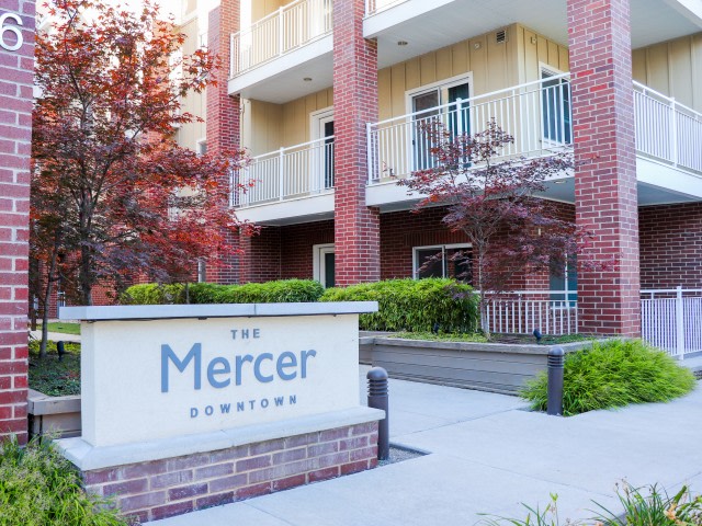 The Mercer Image 18