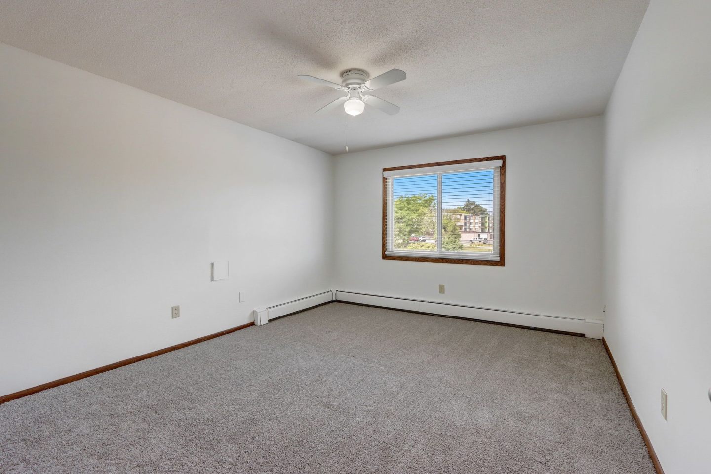 Sumter Green Image 8
