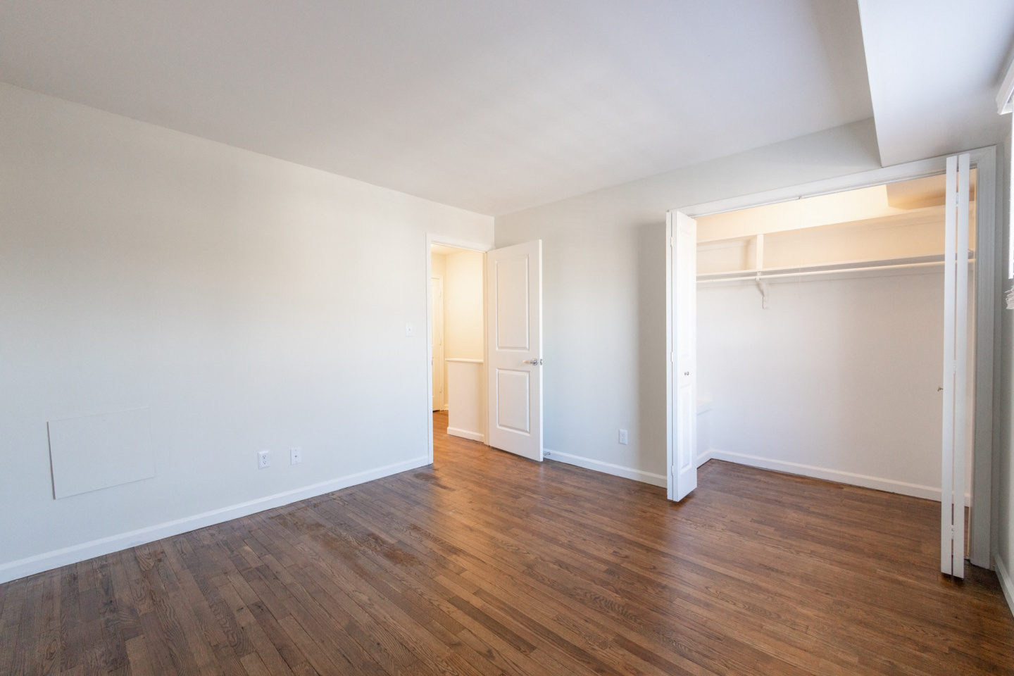 Monon Living Image 32
