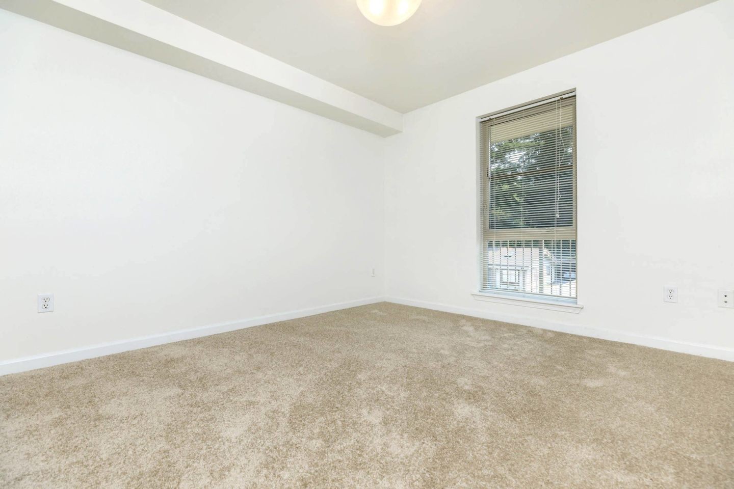 Delano Image 23
