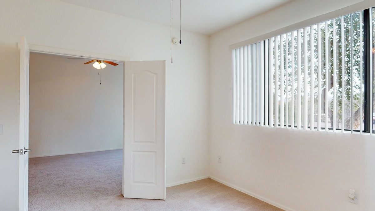 Acclaim Image 6