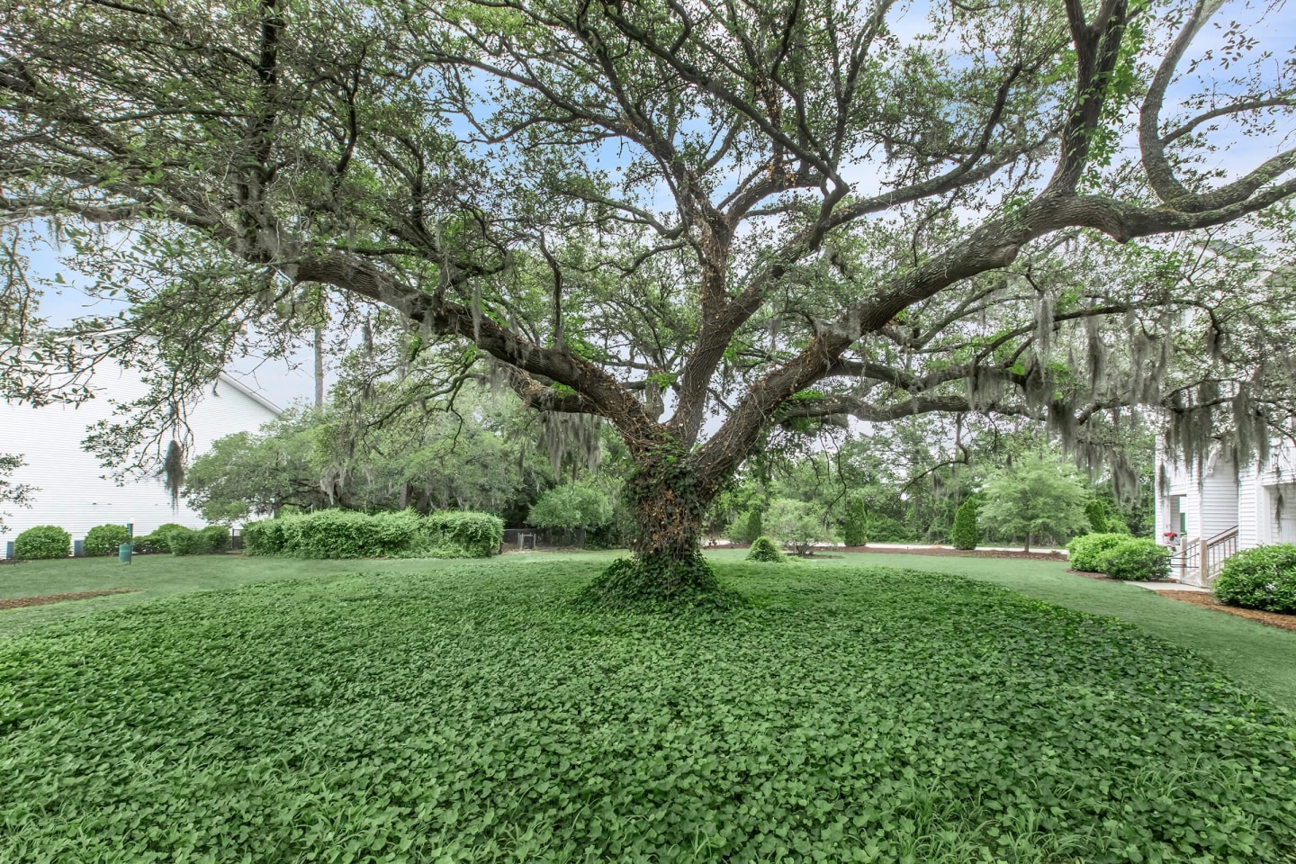 Arbor Trace Image 13