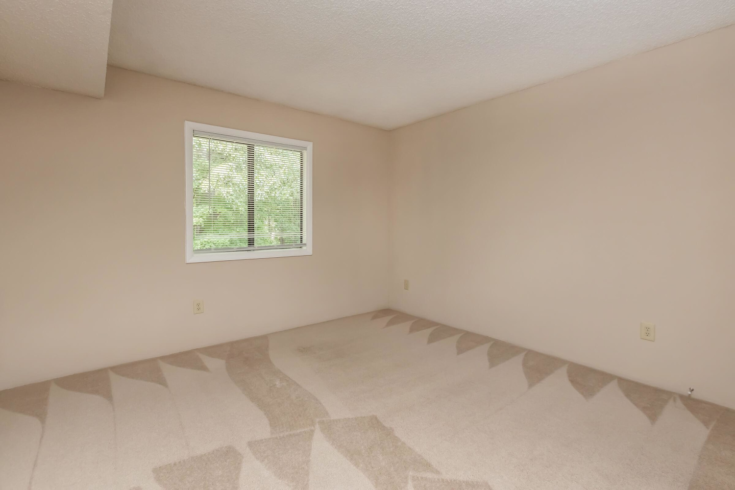 Lake Brandt Apartments Image 6