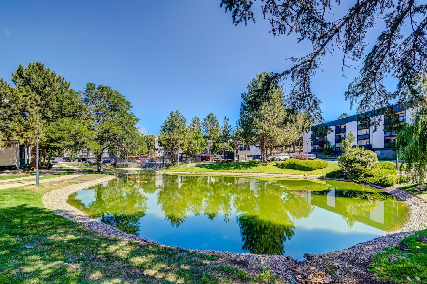 Sage at Panorama Image 8