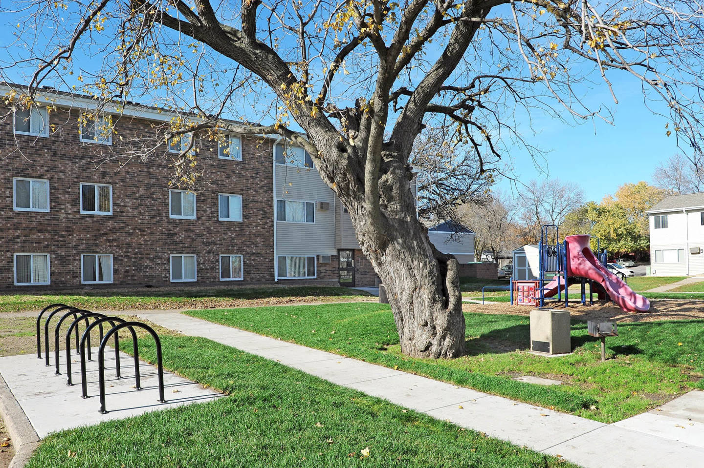 Lonnie Adkins Court Image 2