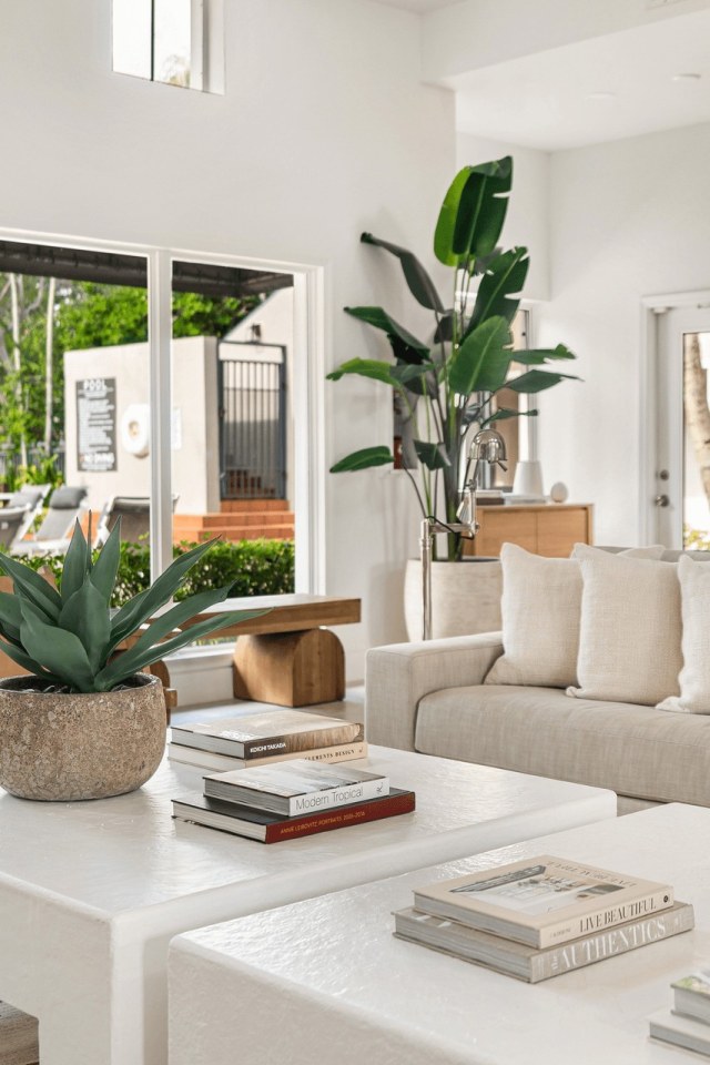 Coconut Palm Club Image 17