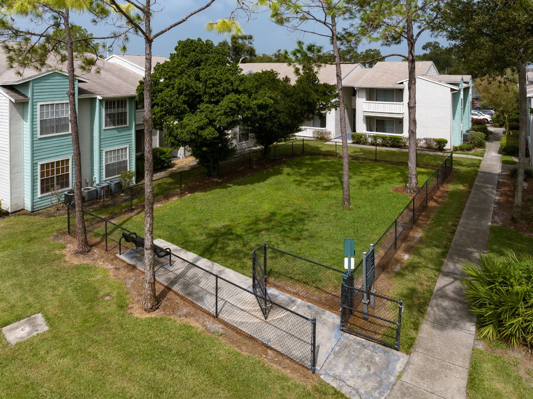 Ascent Citrus Park Image 31