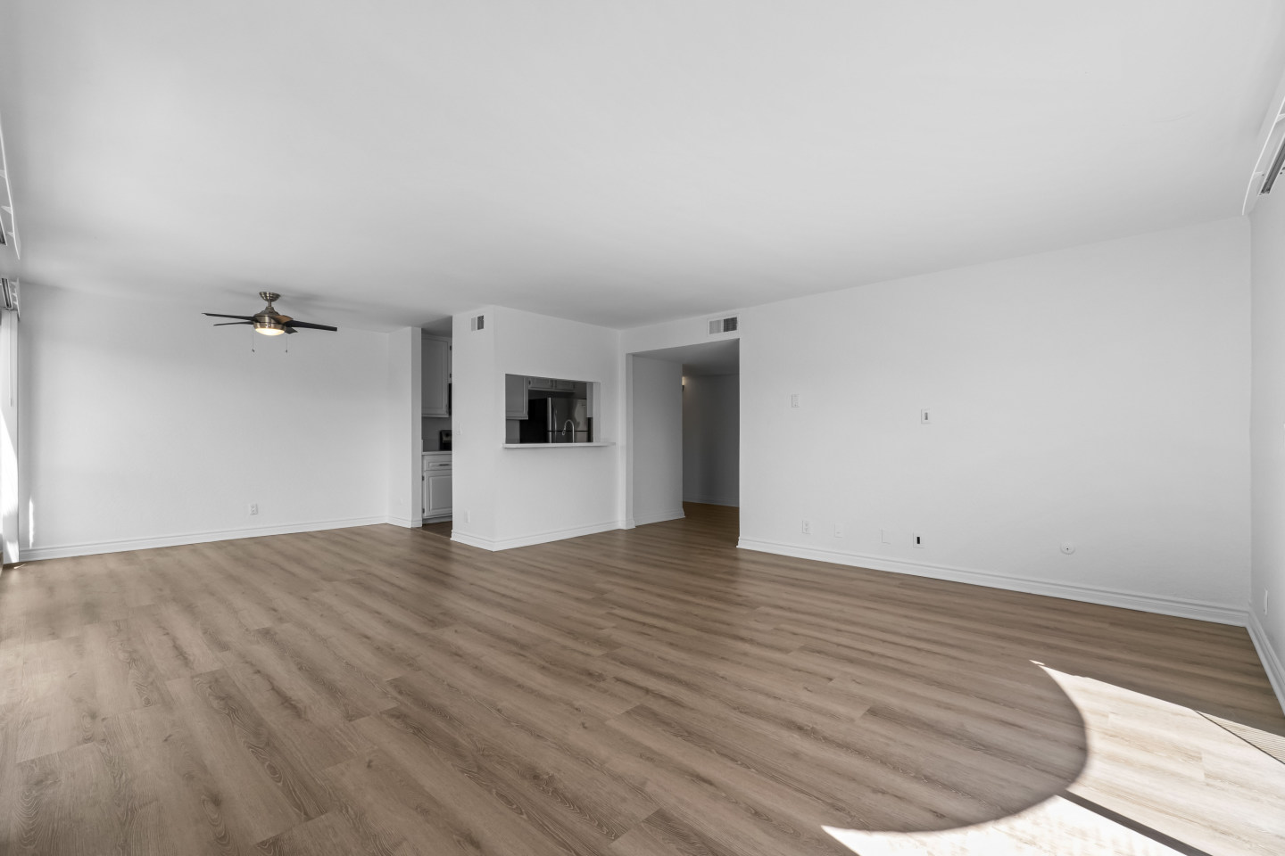 600 Olive Image 19