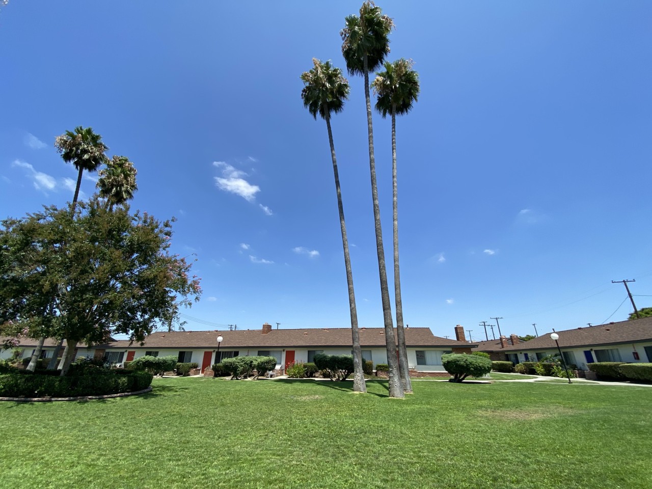 Orangewood Garden Apartments Image 3