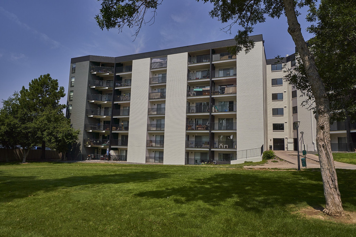 Elm at Panorama Image 21