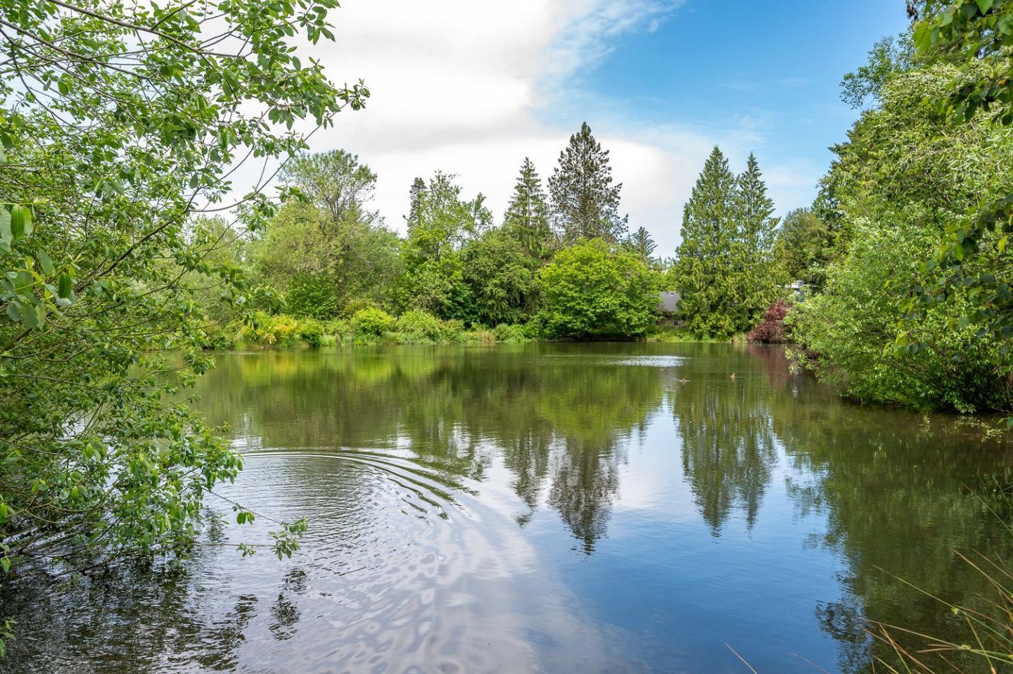 Lakeview Park Image 14