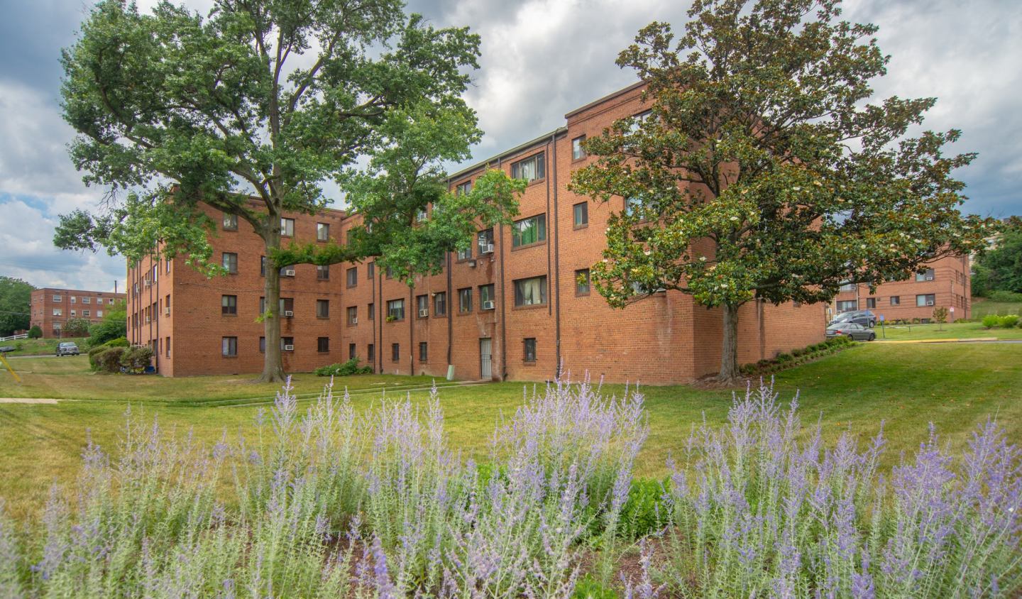 Chillum Terrace Image 6