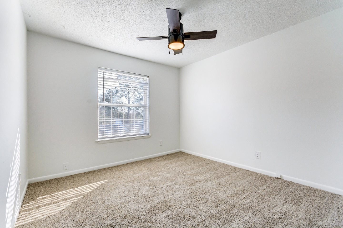 ReNew on Cantrell Image 17