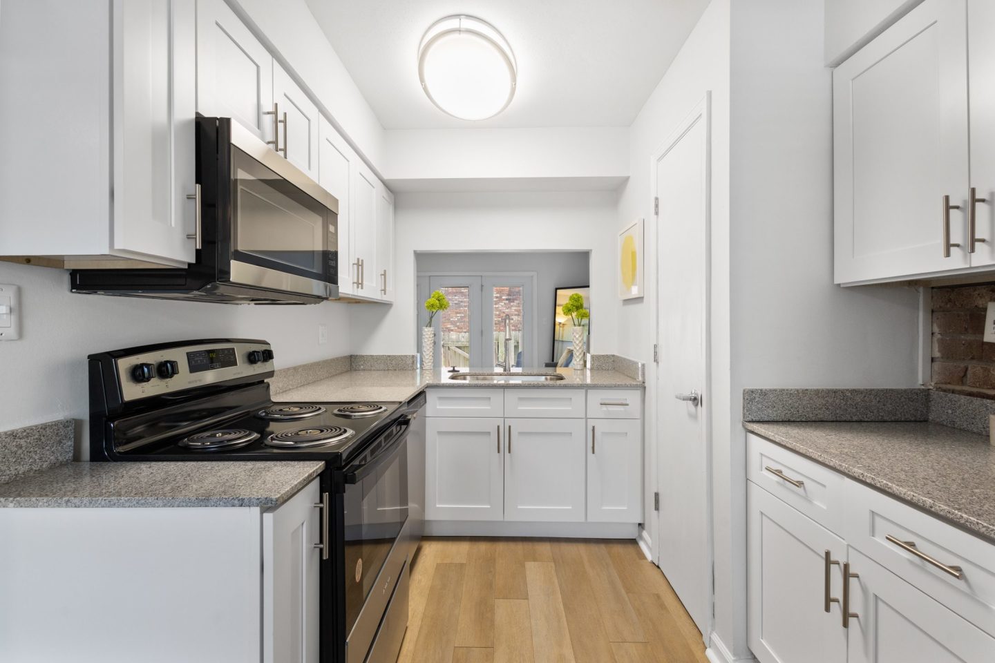 Monon Living Image 5