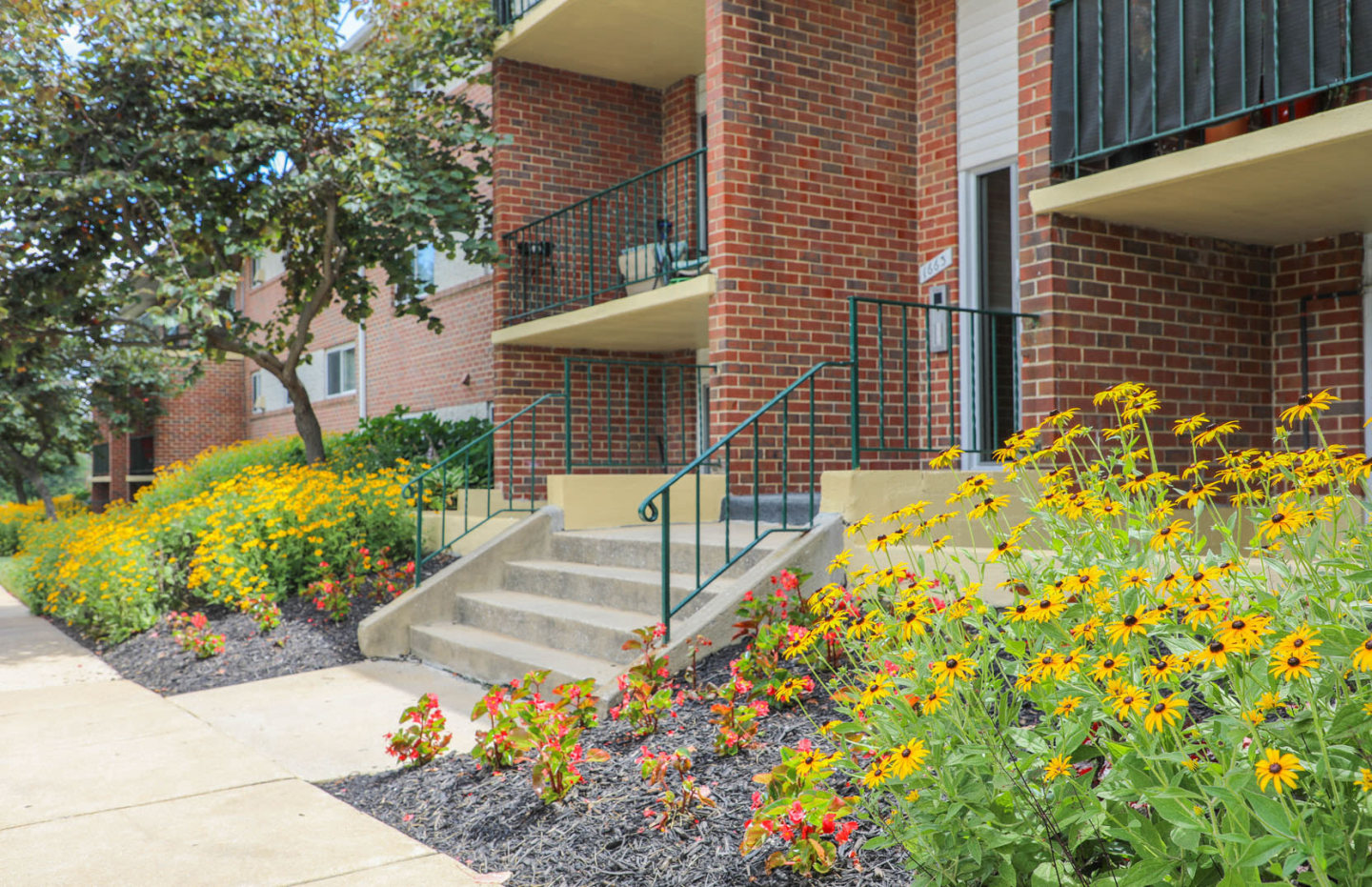 Edmondson Park Image 7