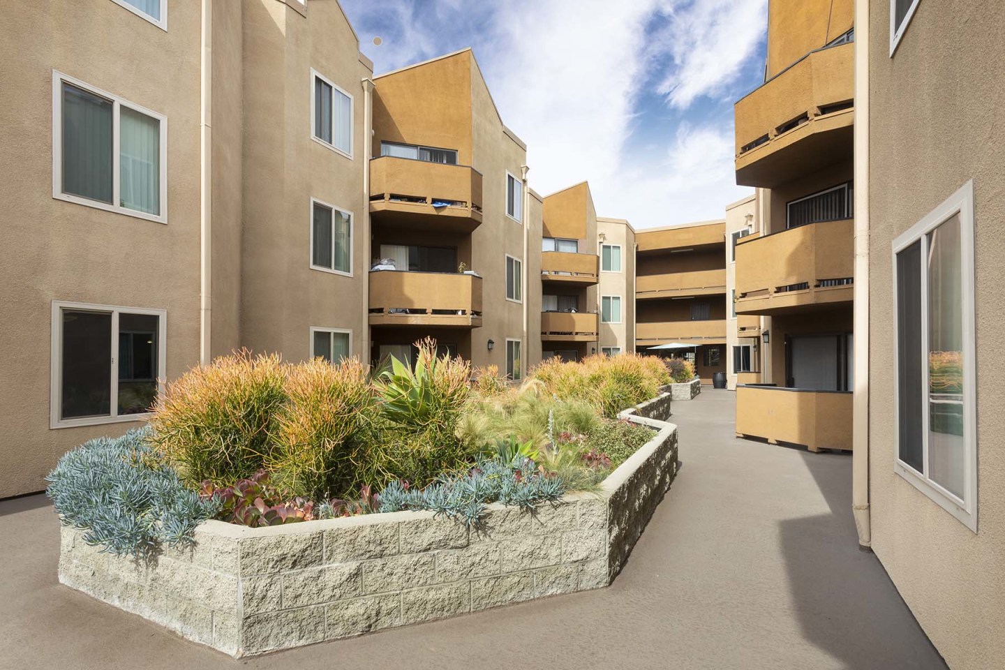 Encino Palms Image 11