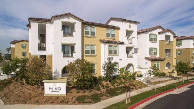 Miro Image 15