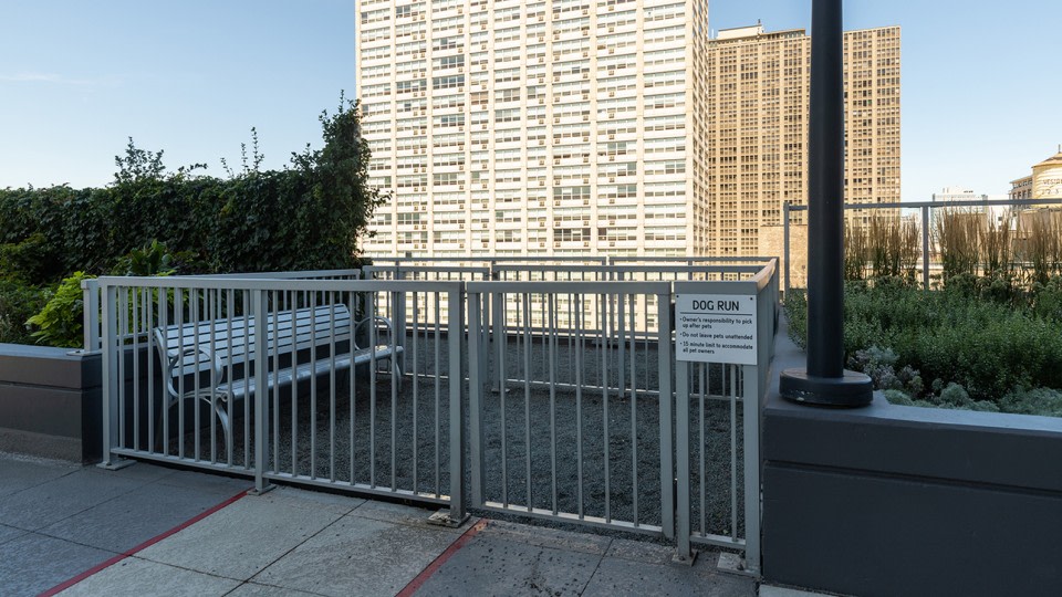 Arrive Lex Image 11