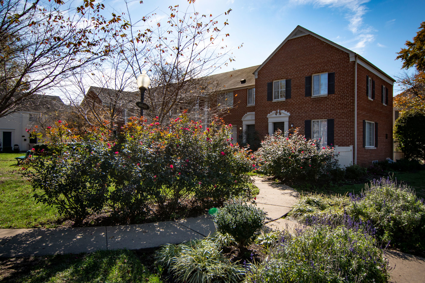 Brookville Townhomes Image 4