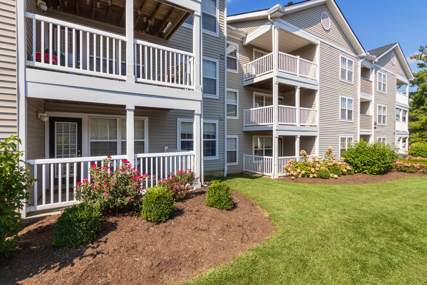 The Trails of Saddlebrook Image 85