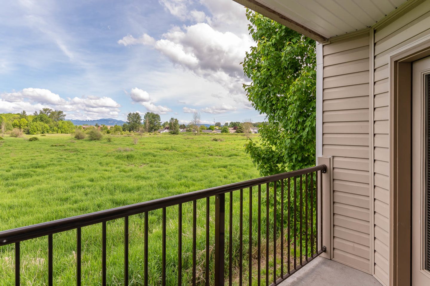 Meadow View Image 17