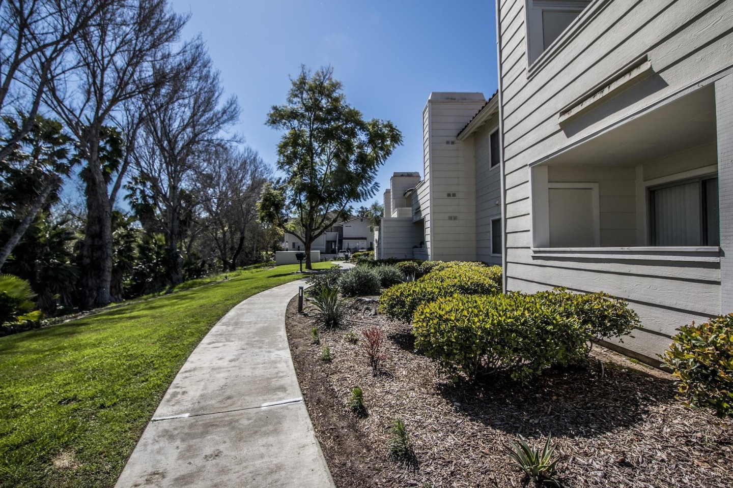 Reidy Creek Apartments Image 6