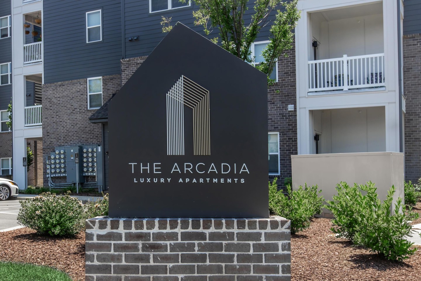The Arcadia Image 25