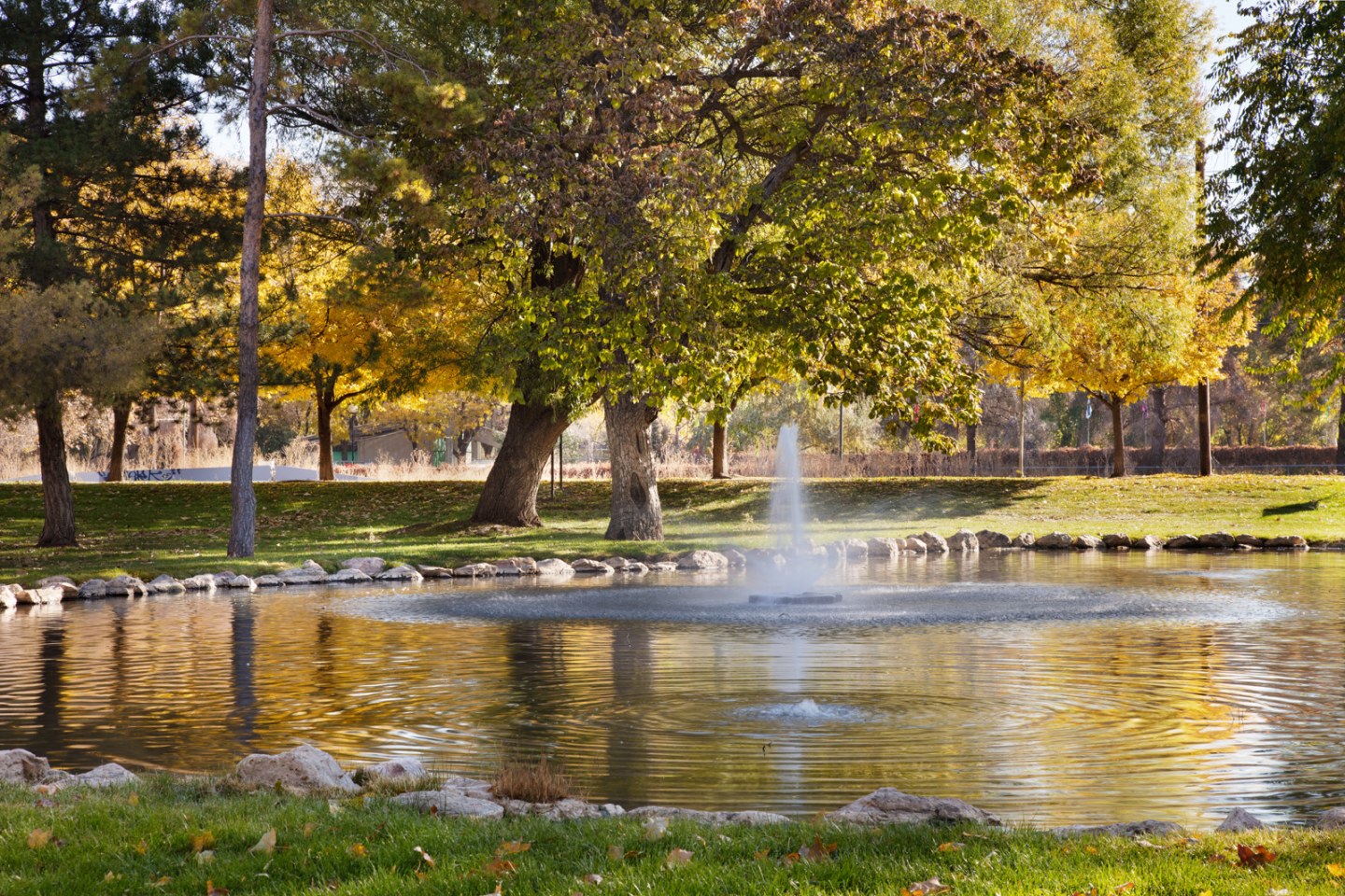 The Grove Image 22