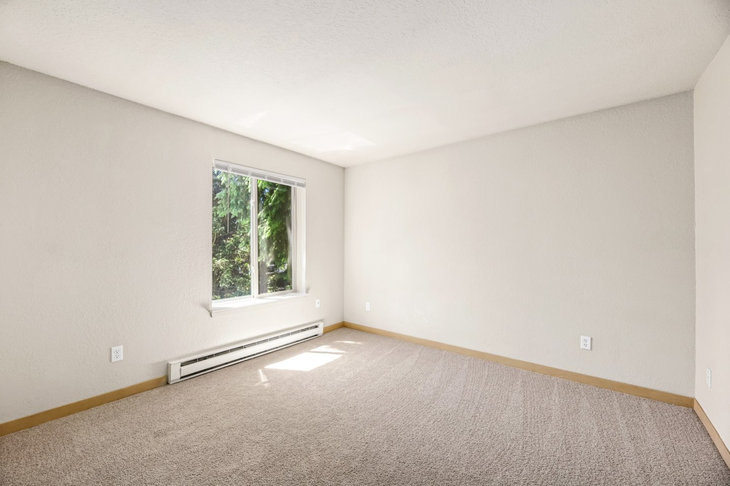 Northline Image 14