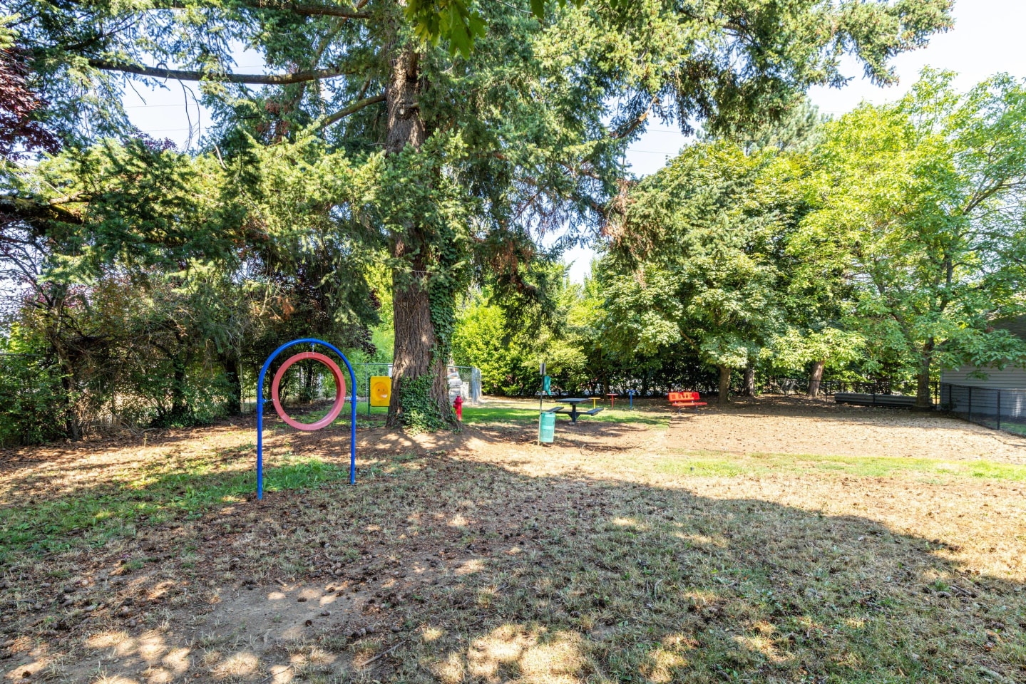 Avana Evergreen Image 19