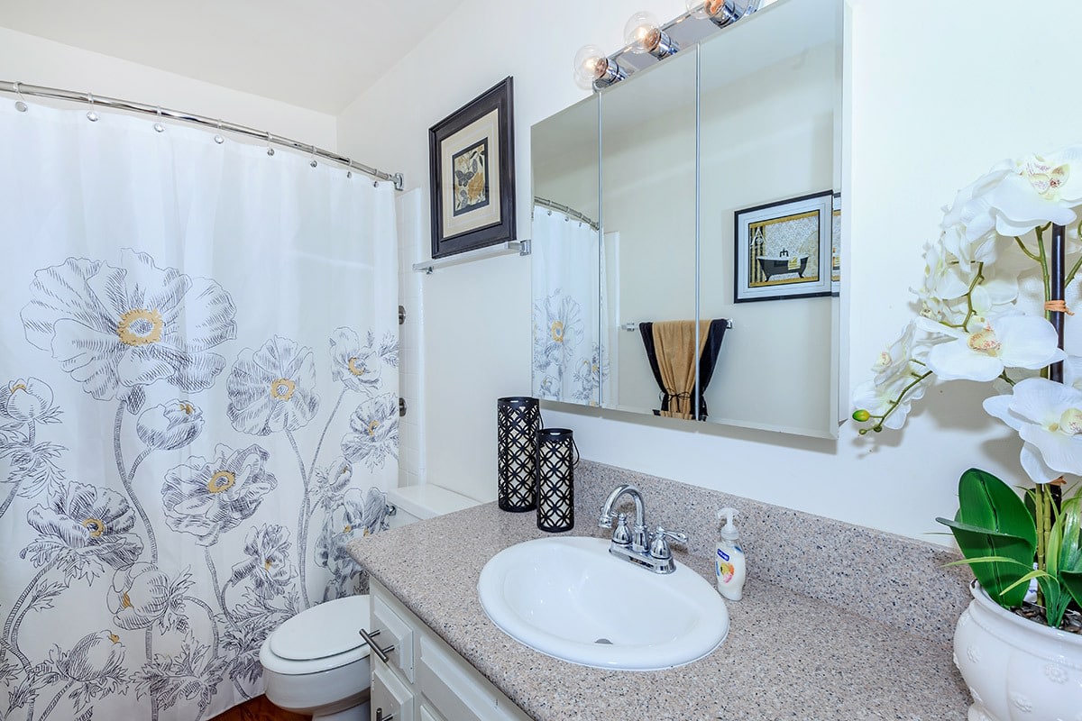Ventura Beach Luxury Apartments Image 5