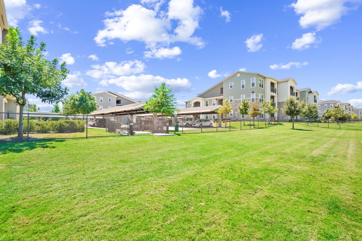 Embree Hill Image 65