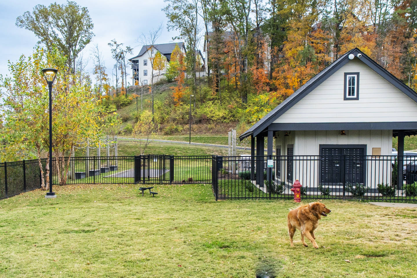 Rivertop Image 17