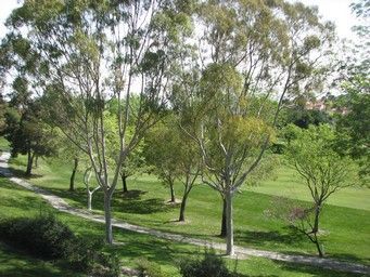 Overlook at Bernardo Heights Image 27