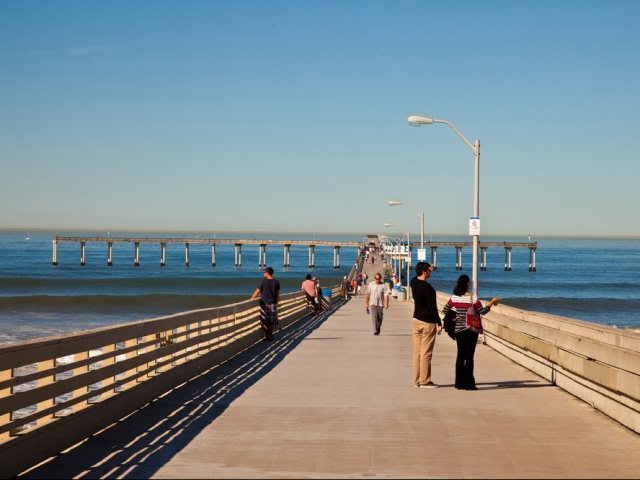 Elan the Palms Apartment Homes Image 16